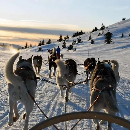 Amazing View I Fjellheisen I Free Parking アパート