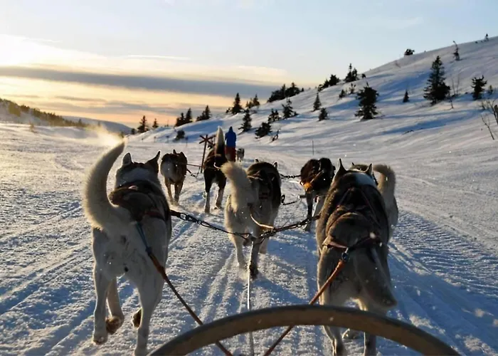 Amazing View I Fjellheisen I Free Parking 아파트
